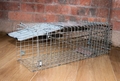 PestExpel Rabbit, Squirrel, Rat, Mink, Vermin, Medium Folding Humane Animal Trap