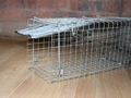 PestExpel Rabbits, Squirrels, Mink, Feral Cat, Vermin,Animal Folding Cage trap