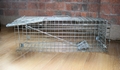 PestExpel® Rabbits, Squirrels, Mink, Feral Cat, Vermin,Animal Folding Cage trap