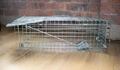 PestExpel Rabbits, Squirrels, Mink, Feral Cat, Vermin,Animal Folding Cage trap