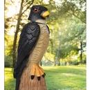 PestExpel Realistic Falcon Wind Action Decoy Scarer Detterent